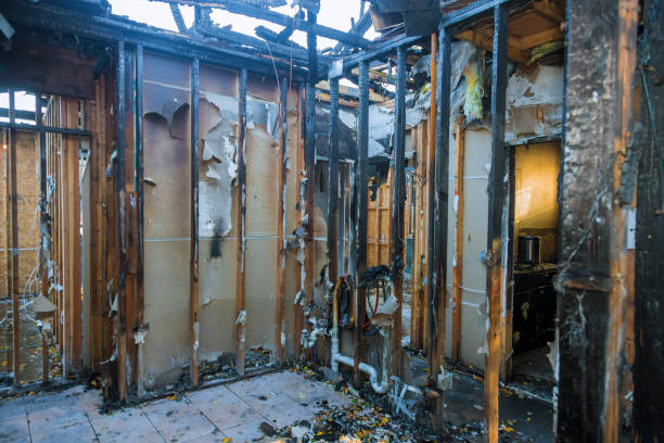 Professional Smoke Damage Removal technician working in Ferdinand, IN